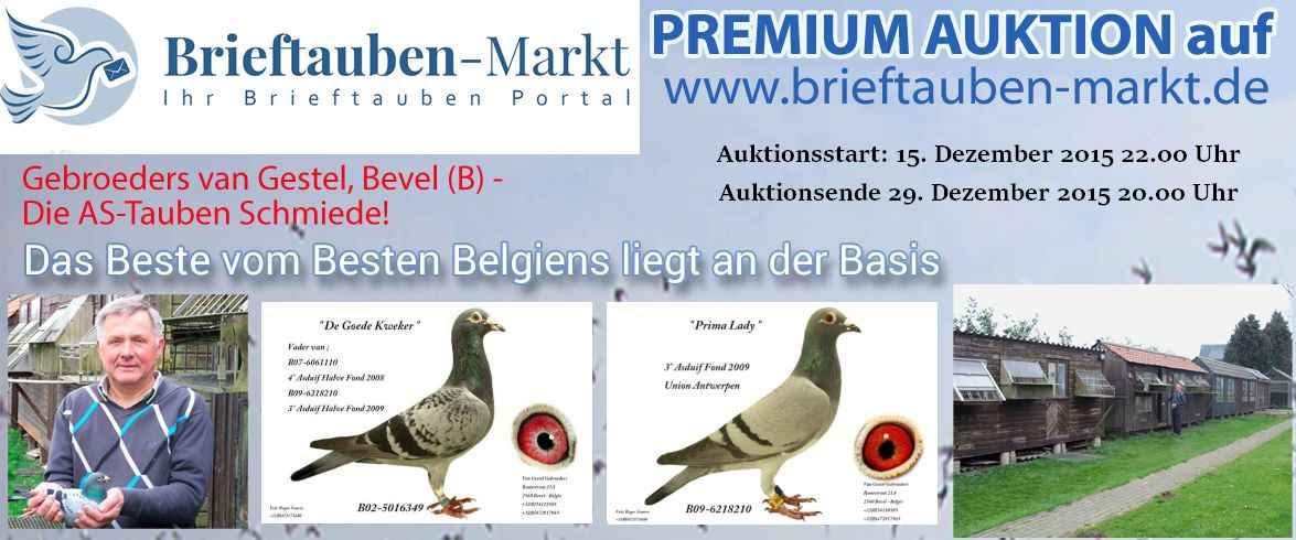 auktion 2015 van gestel mit text