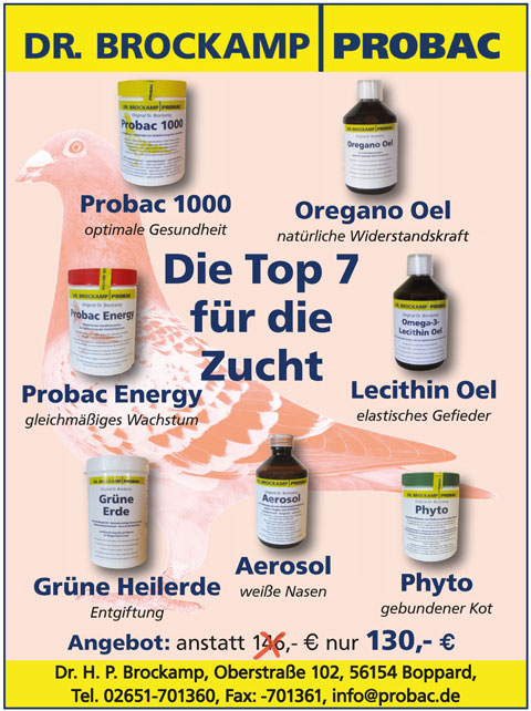 brockamp april 2015-1