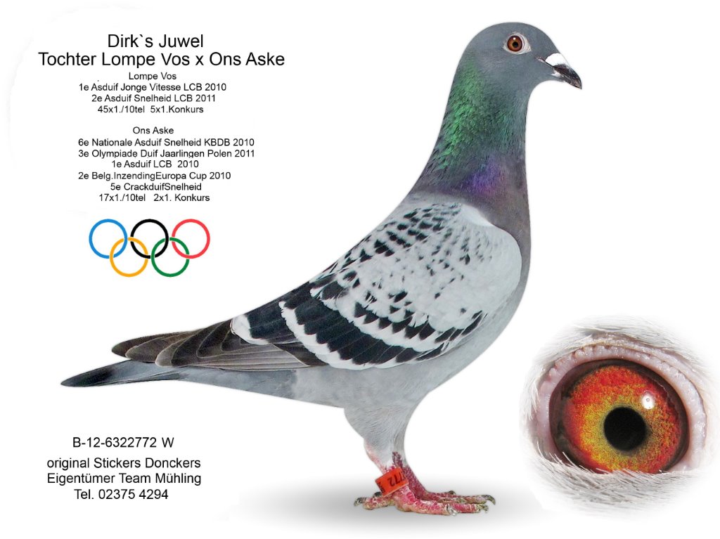 mühling B-11-6322772