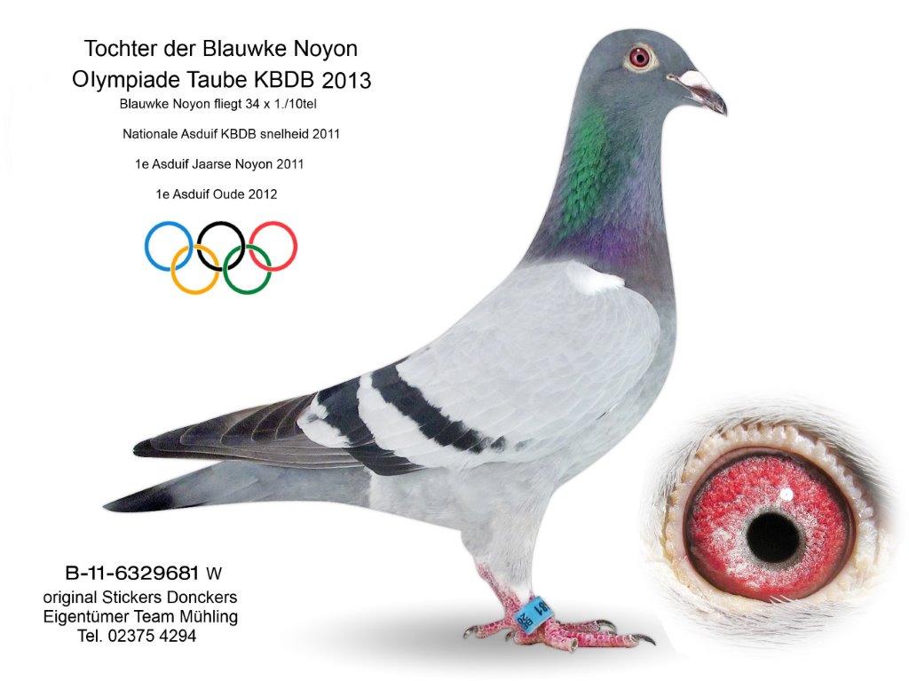 mühling B-11-6329681