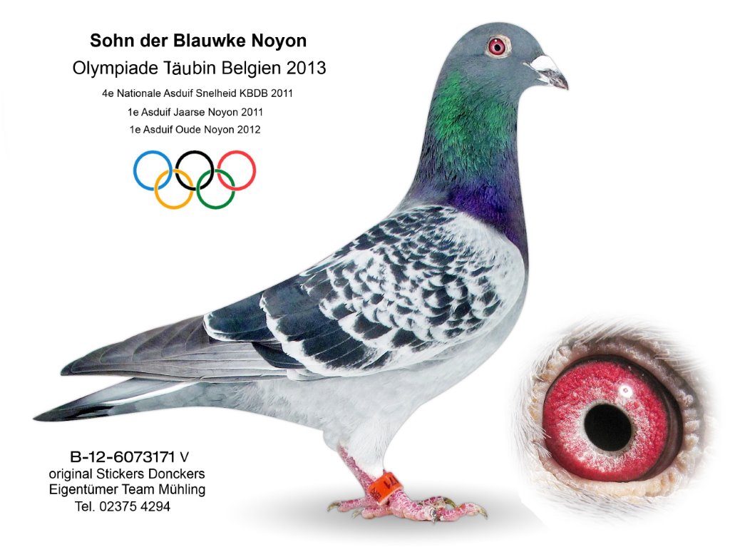 mühling B-12-6073171