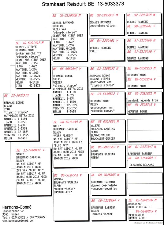 hermans bone BE-13-5033373 pedigree