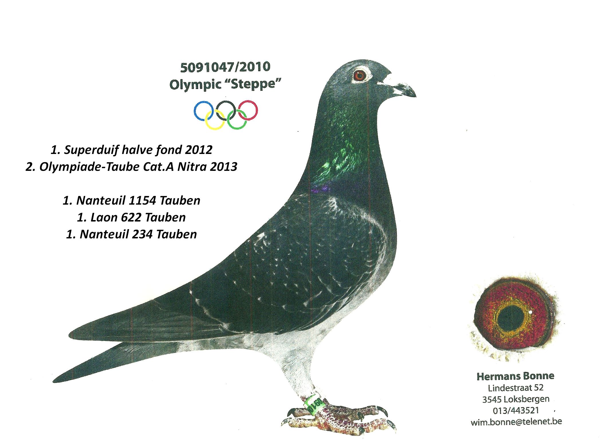 hermans bone olympic steppe