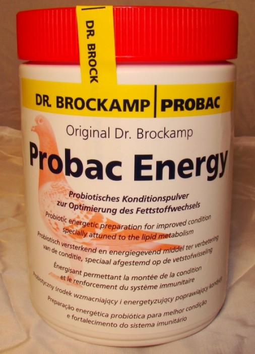probac energy