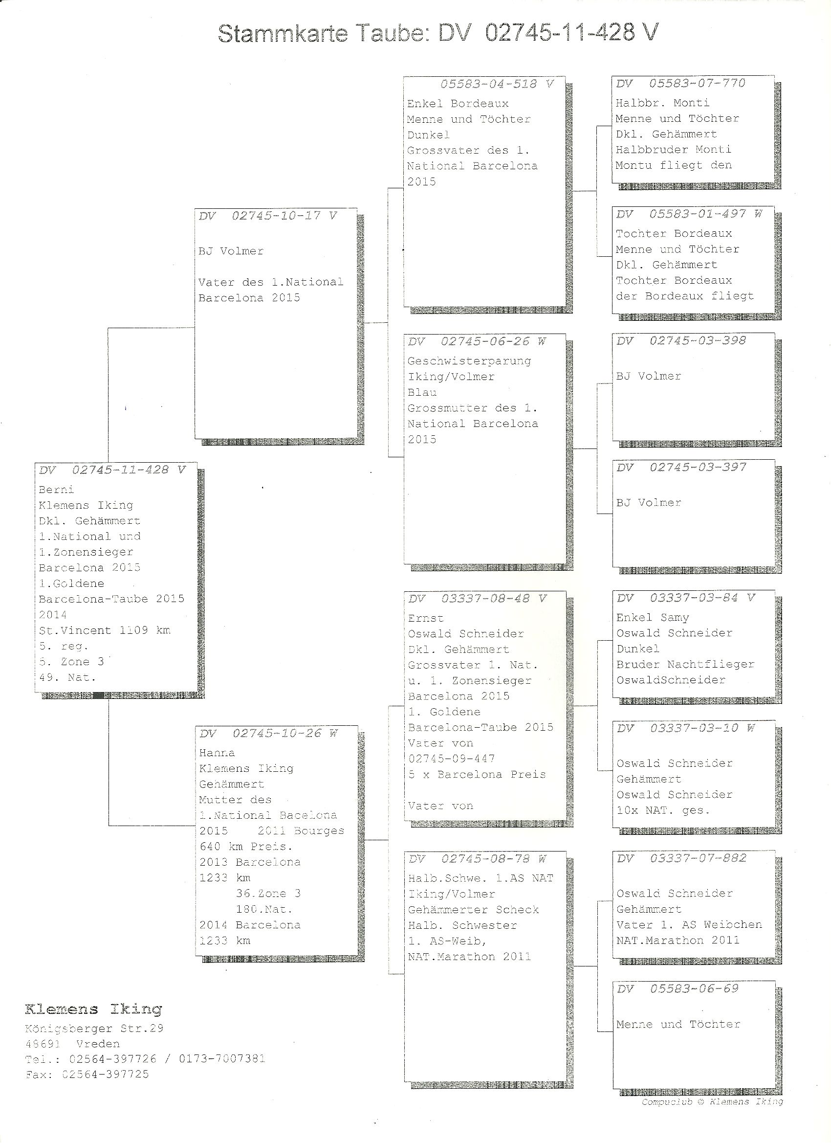 iking 02745-11-428 nat barcelona pedigree