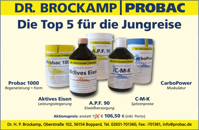 Brockamp august 2015