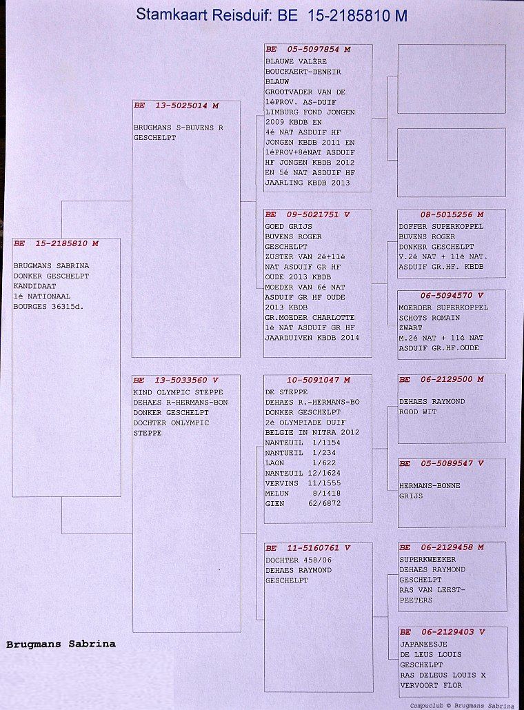 brugmans BE-15-2185810 pedigree