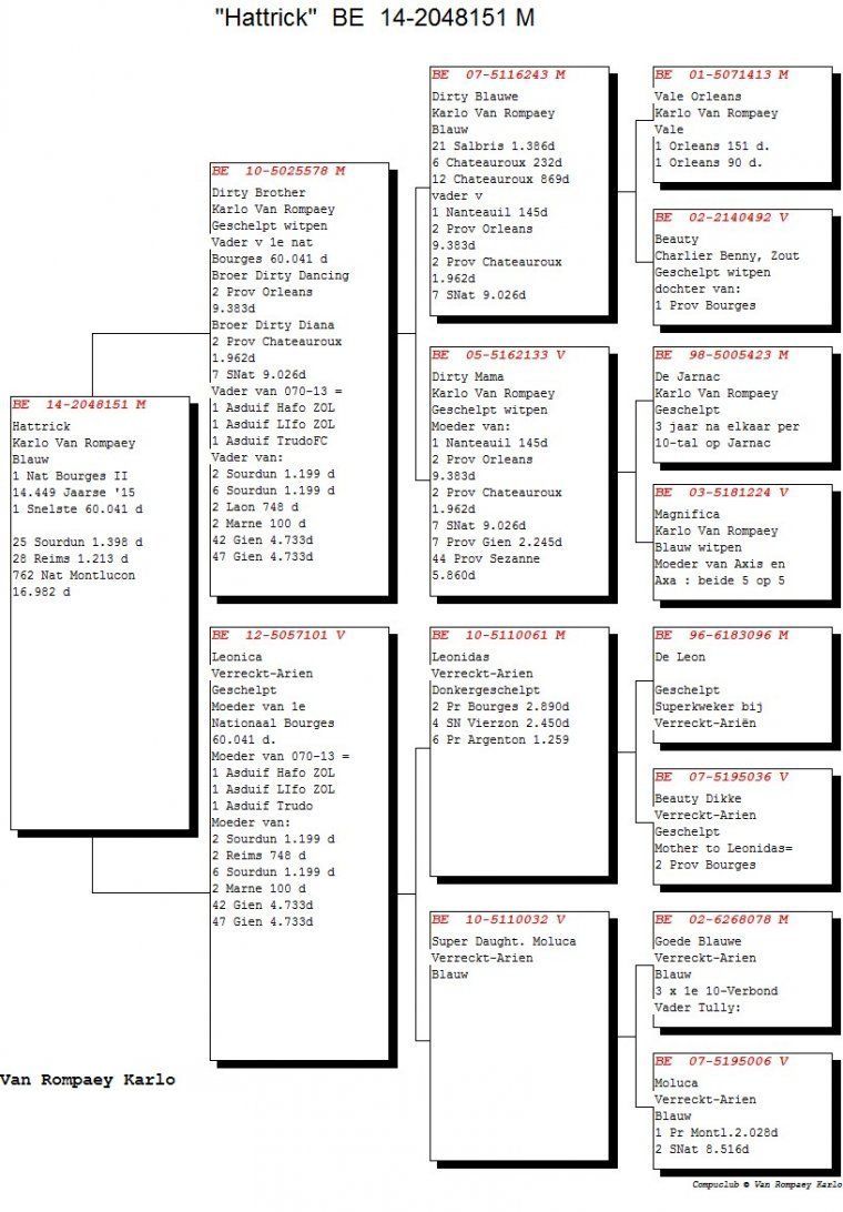 van rompaey BE-14-2048151 nat bourges 2 pedigree