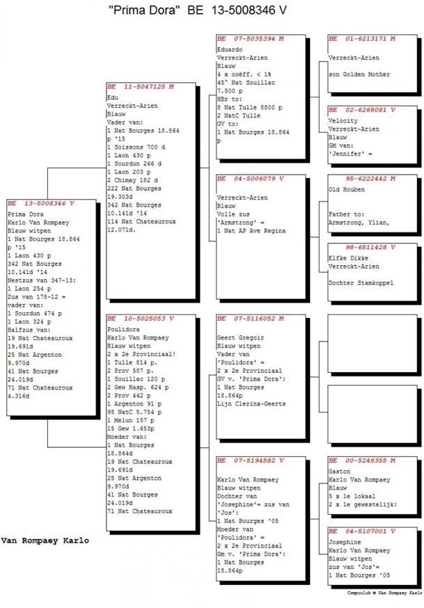 van rompaey BE-5008346-13 bourges 1 pedigree