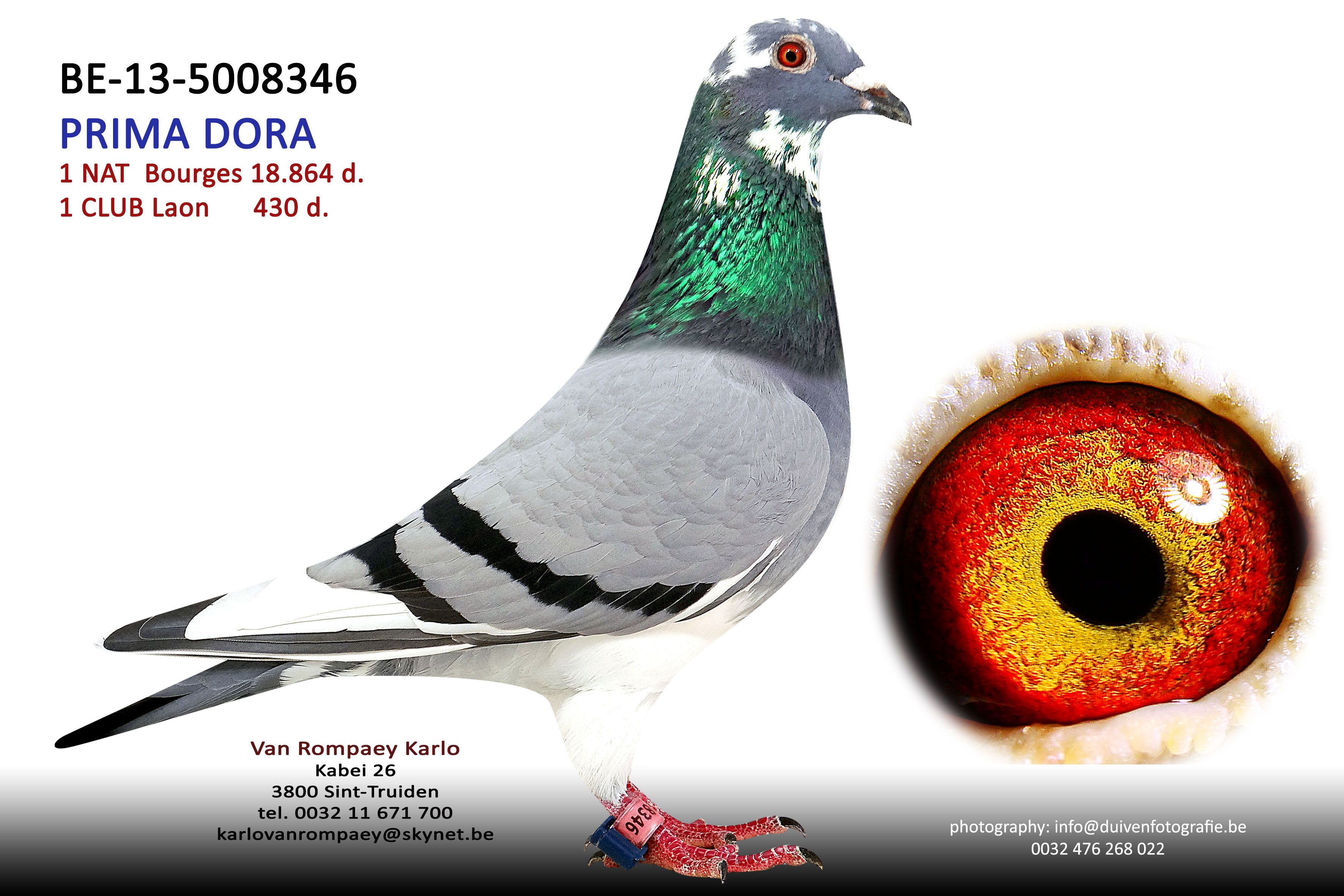 van rompaey BE-5008346-13 bourges 1