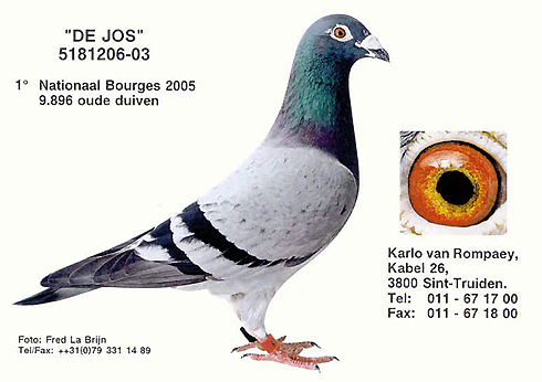 van rompaey dejos490