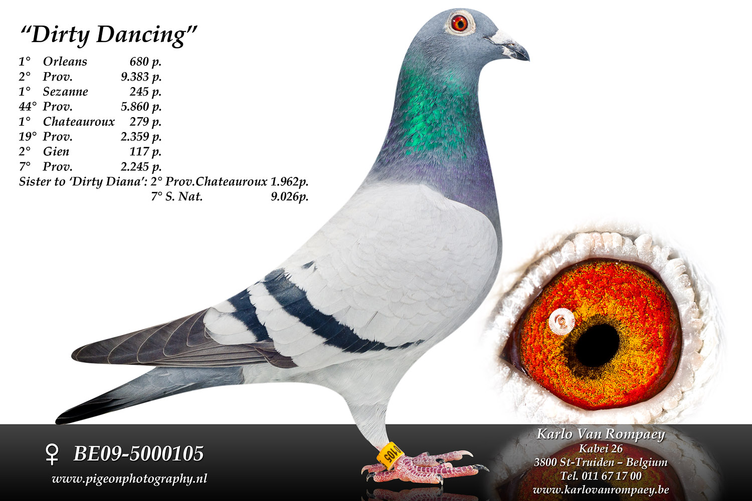 van rompaey dirty dancing BE09-5000105