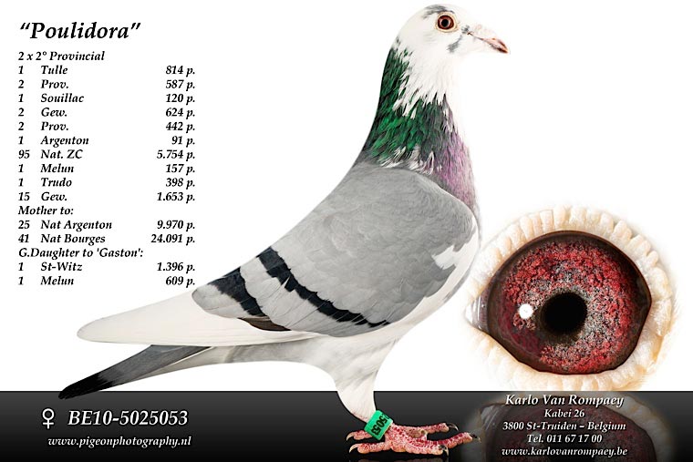 van rompaey Poulidora