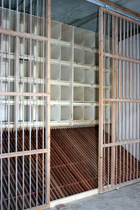 van rompaey weibchen