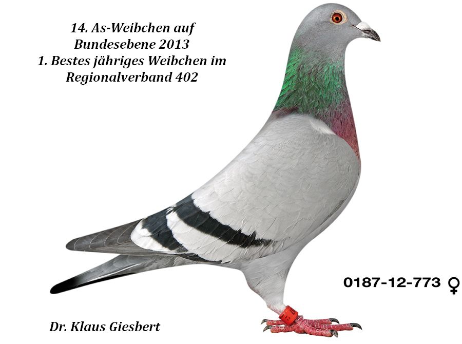giesbert 773