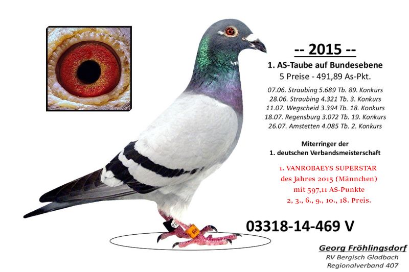 fröhlingsdorf as vogel