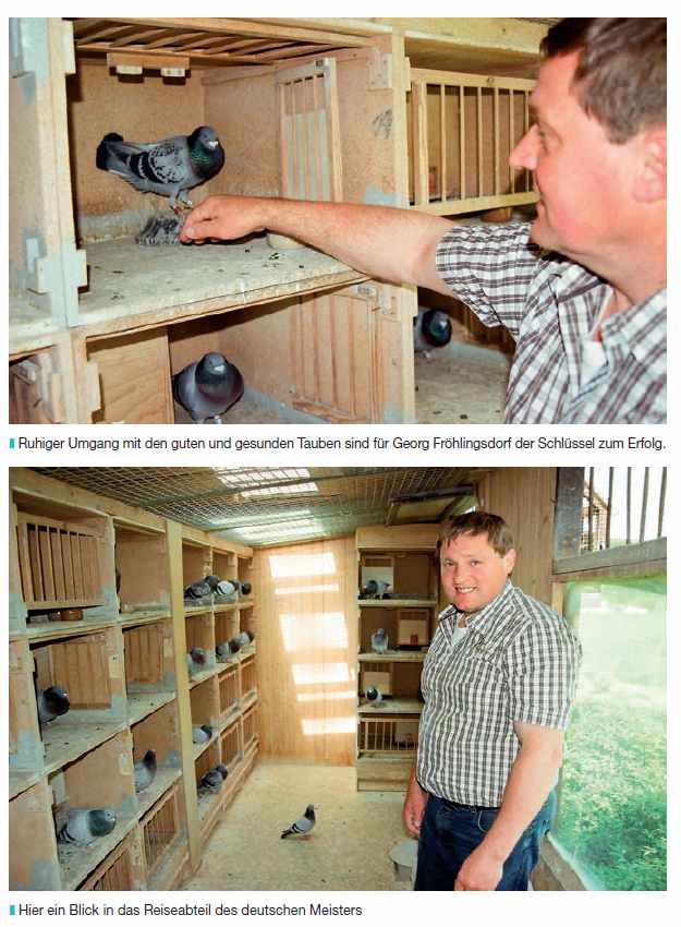 fröhlingsdorf im schlag