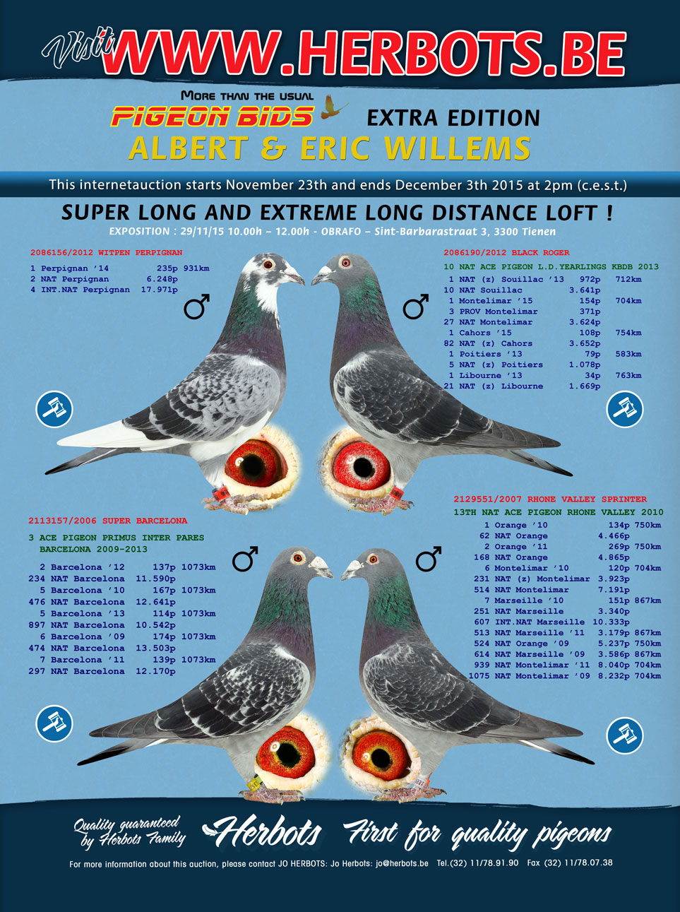 marché des colombes novembre 2015 Herbots