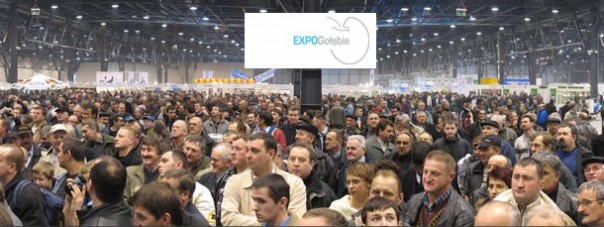 expogolebi