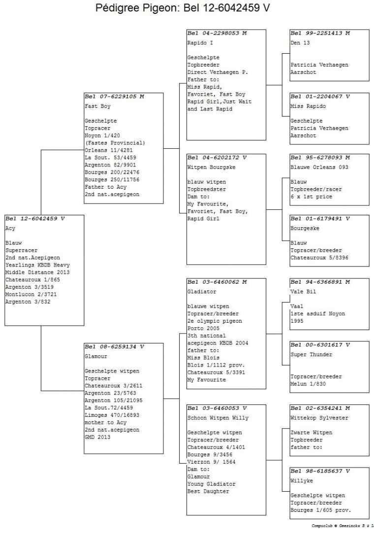 geerinckx acy pedigree