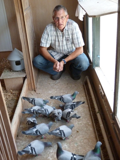 van elsacker im schlag