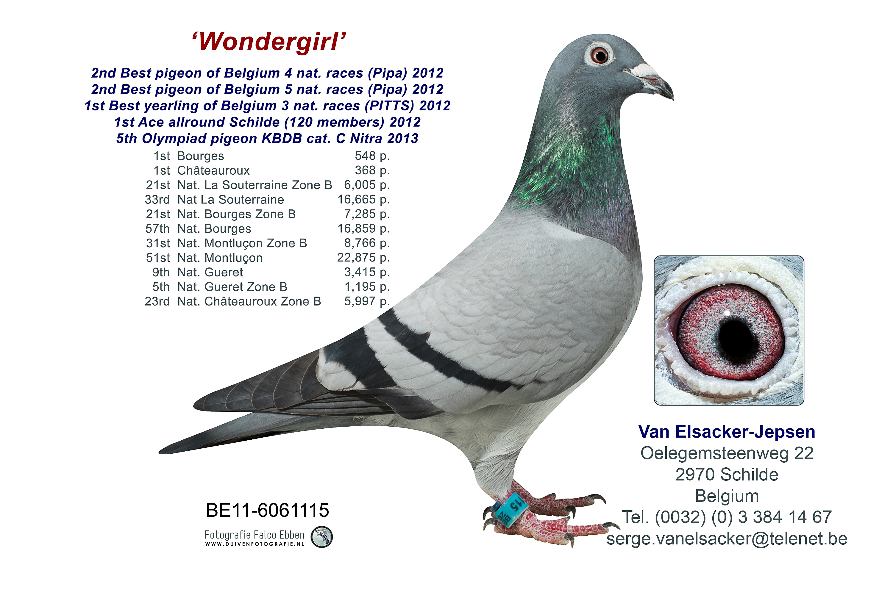 van elsacker wonder girl