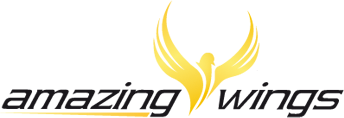 amazing wings logo