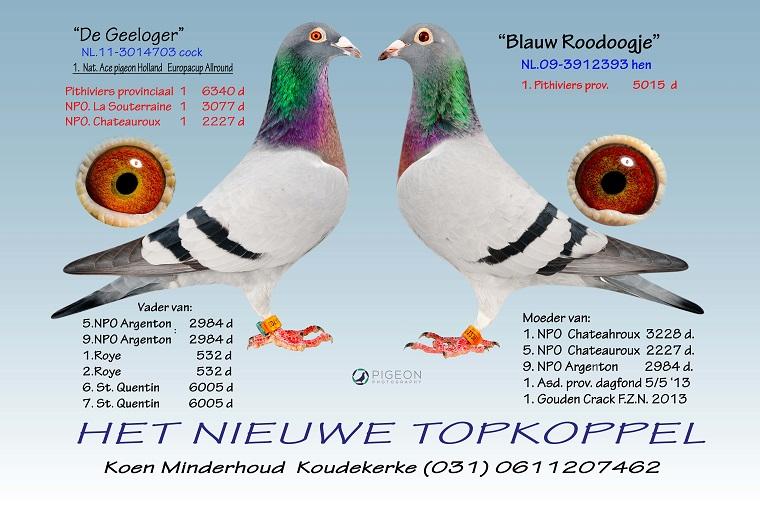 minderhout topkoppel 2016