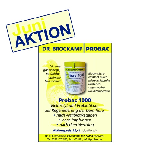 brockamp juni aktion