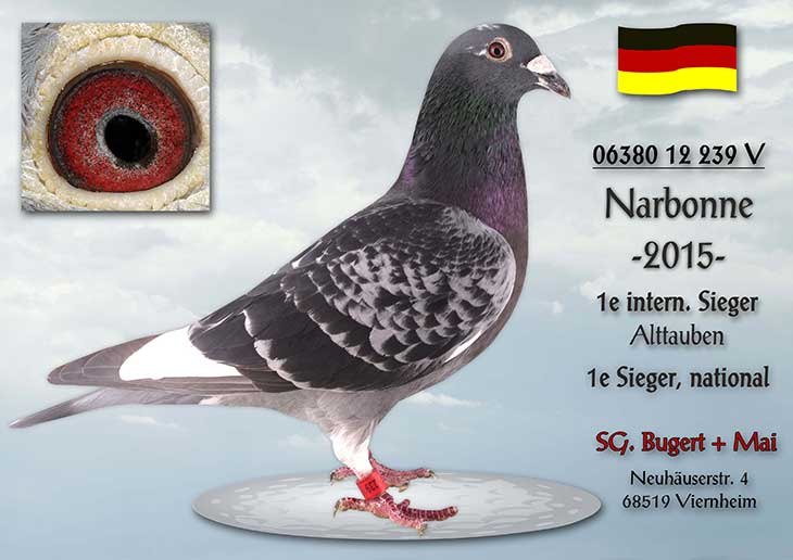 narbonne 2015 sieger