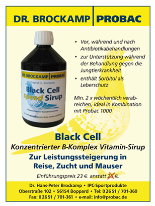 99. Ausgabe-Redaktion.qxd (Page 1)