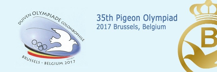 olympiad banner-pigeon-2017-1