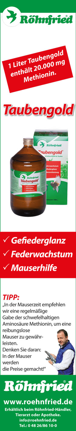 Roehnfried kassel 2016 2