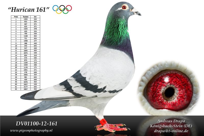 Drapa olímpico hurrican 161 DV01100-12-161