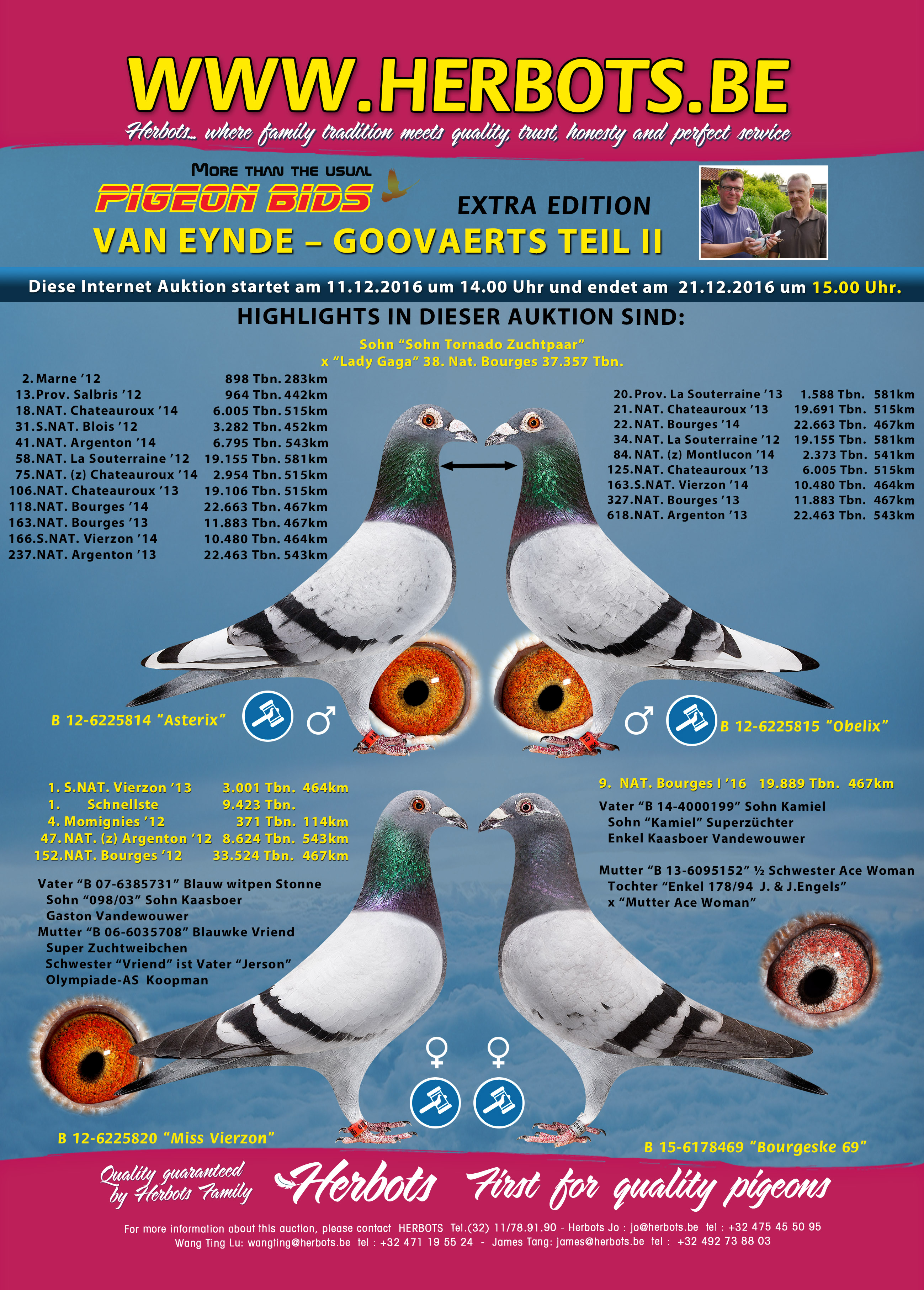 herbots van den eynde 2