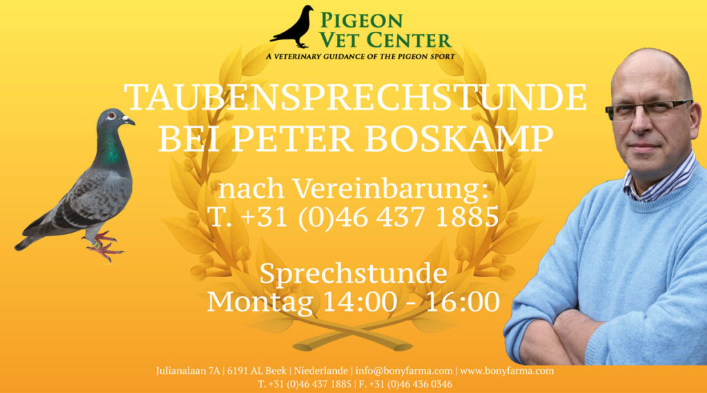 boskamp Duiven-spreekuur-en-op-afspraak-Duits