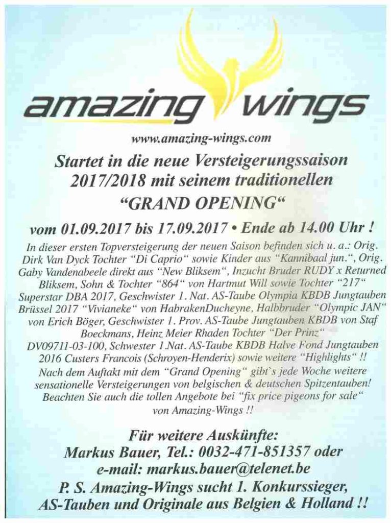 amazing wings 2017 start