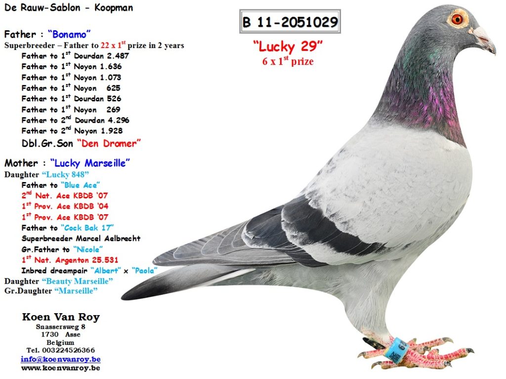 van roy BE11-2051029 vater linda