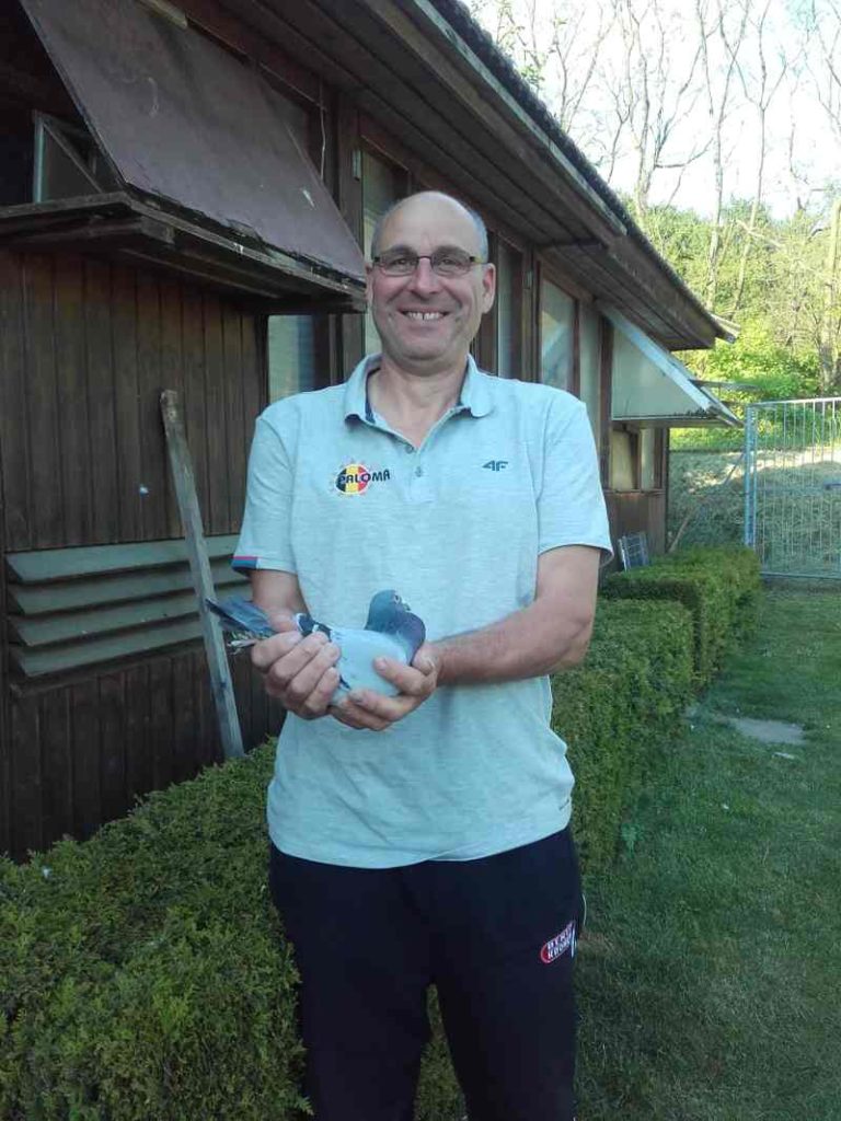 bergemann vor schlag 2017