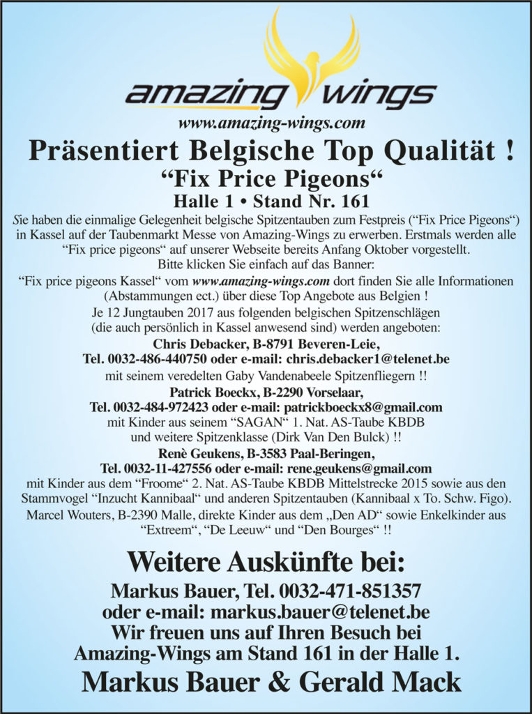 tm oktober 2017 Amazing-wings