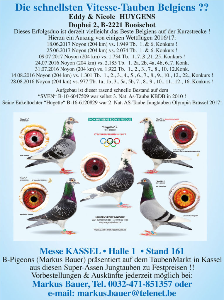 tm oktober 2017 bauer