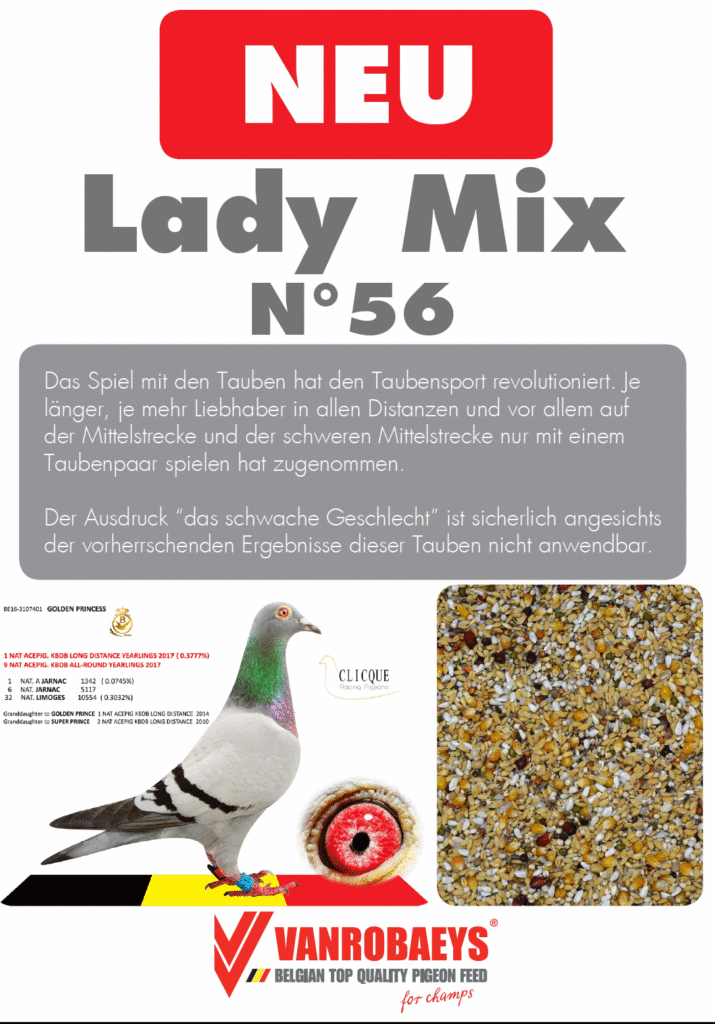 vanrobaeys kassel 2017_1