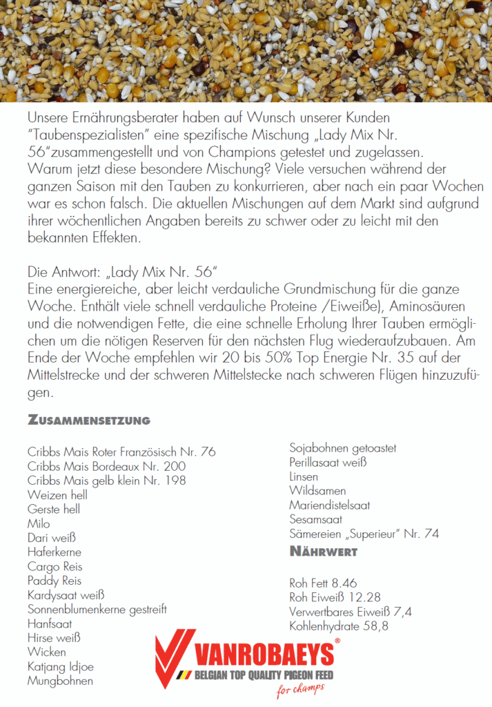 vanrobaeys kassel 2017_2