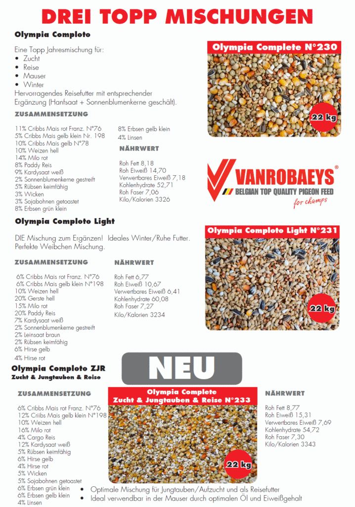 vanrobaeys kassel 2017_3