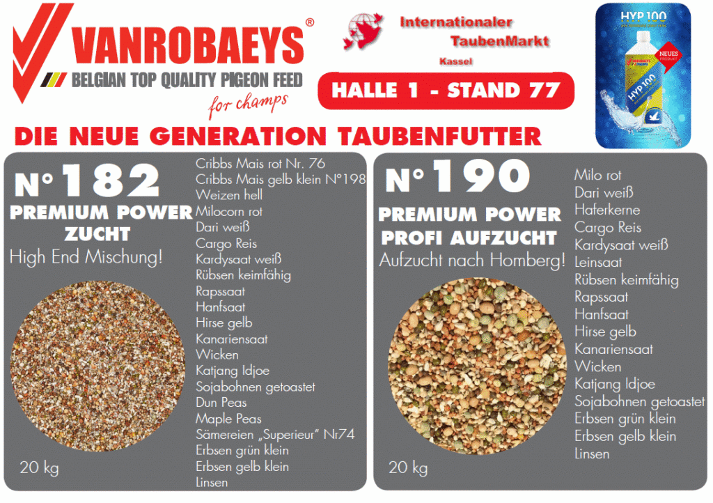 vanrobaeys kassel 2017_4