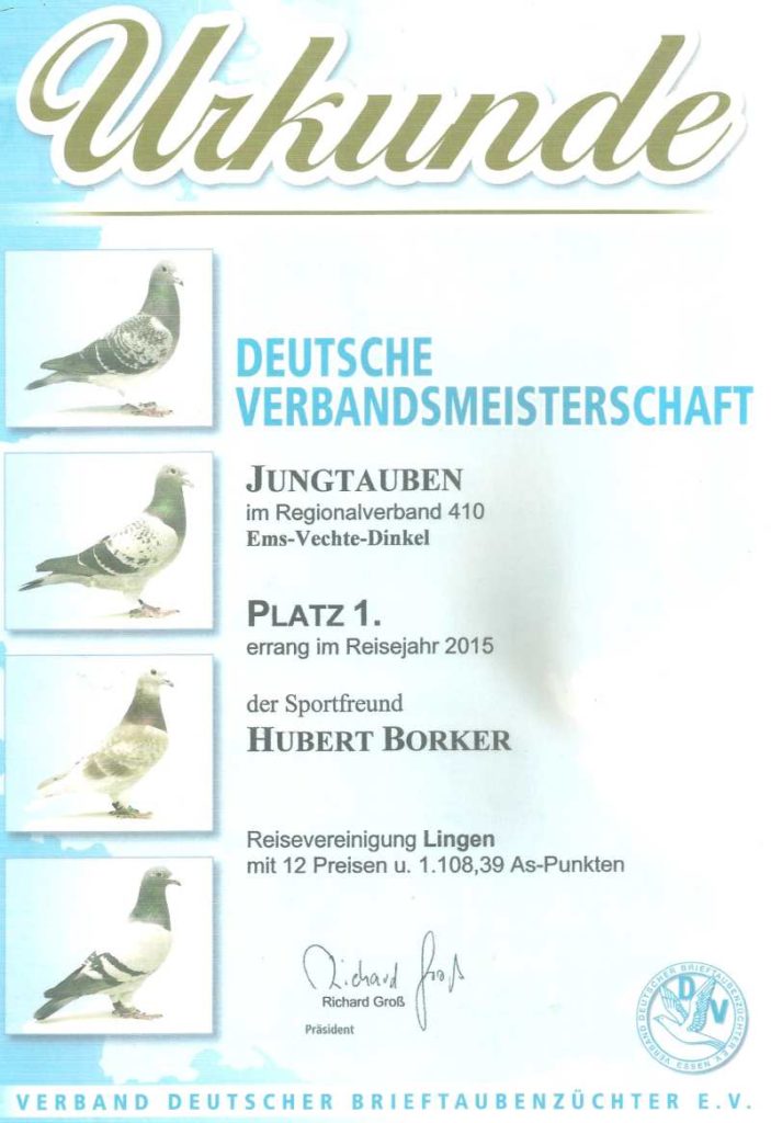 borker certificate