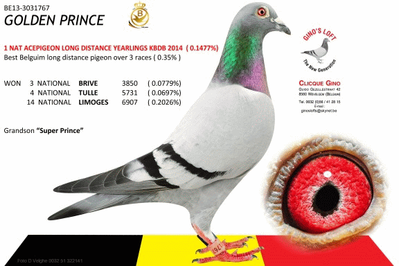 prince d'or Clicque