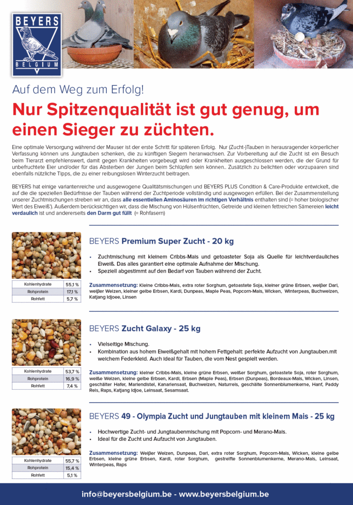 beyers newsletter jan 2018_12