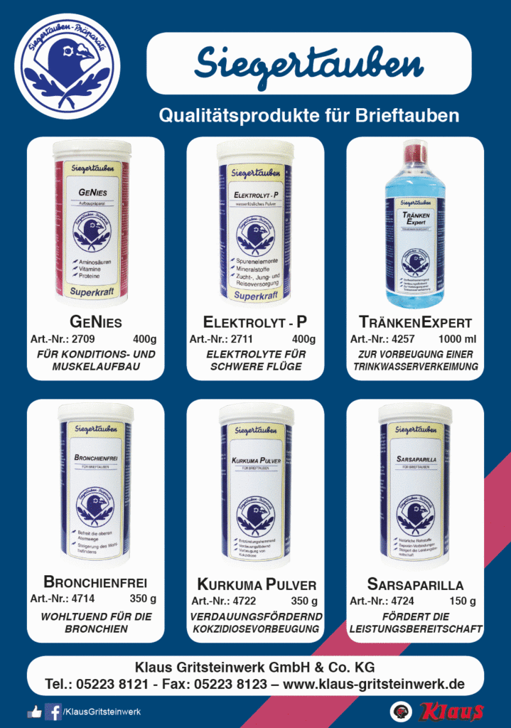 klaus siegertauben 2018