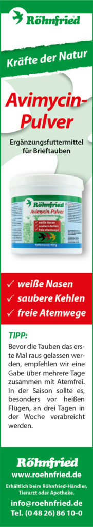 röhnfried feb 2018_2